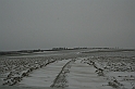 Czerwonym Szlakiem 033
